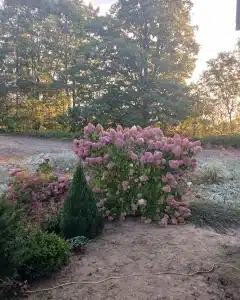 2 (3)